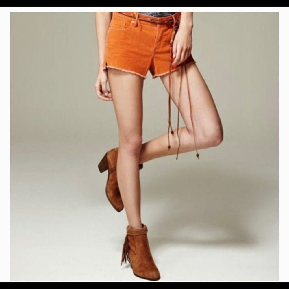 NEW Sam Edelman Suede Fringe Booties 6.5